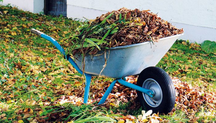 herbst_garten